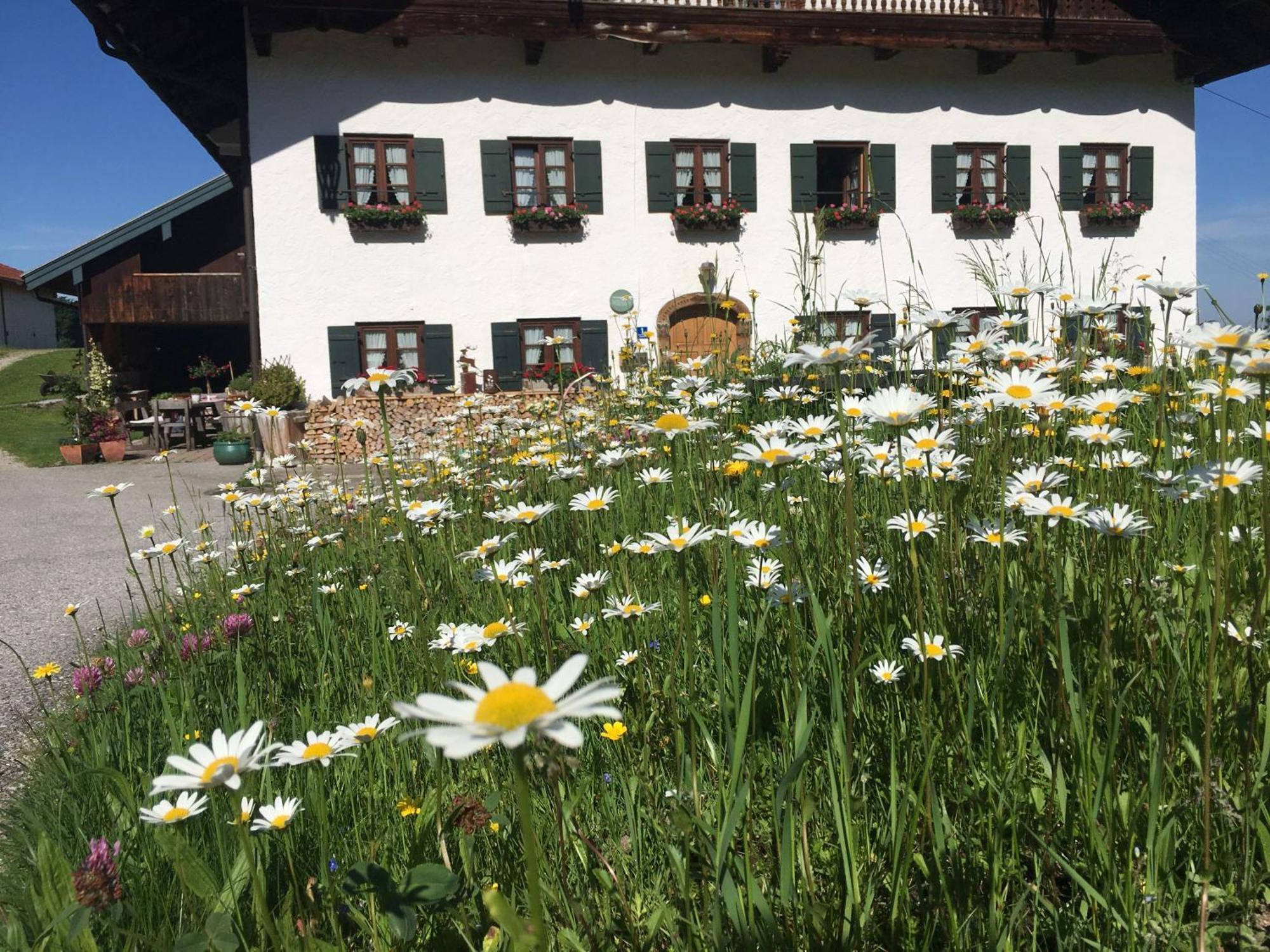 Stadlerhof Frasdorf Exterior foto